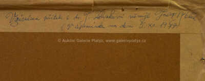  / Panna a netvor / Josef Vyleťal