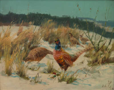  / Bažanti / Otakar Číla