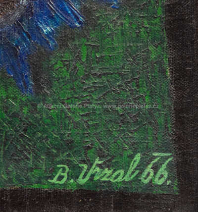  / V krajině nečekané / Bohumil Vrzal