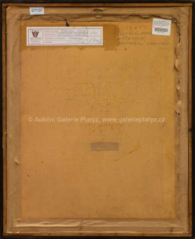  / V krajině nečekané / Bohumil Vrzal