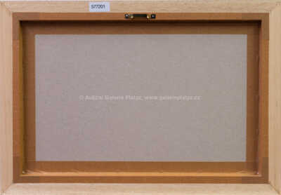  / Kluziště mezi domy / Ferdinand Kotvald