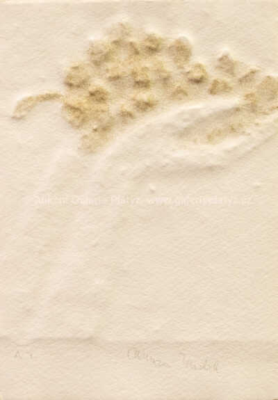  / Podzim / Olbram Zoubek