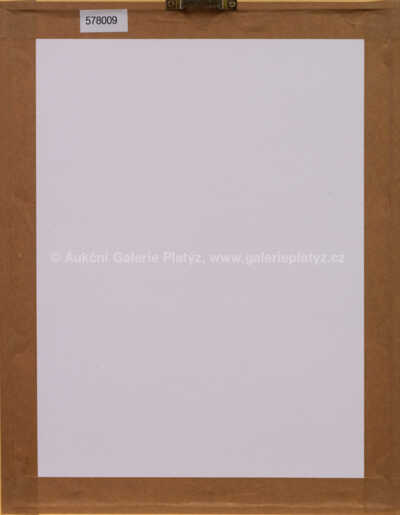  / Léto pro kočku / Adolf Born