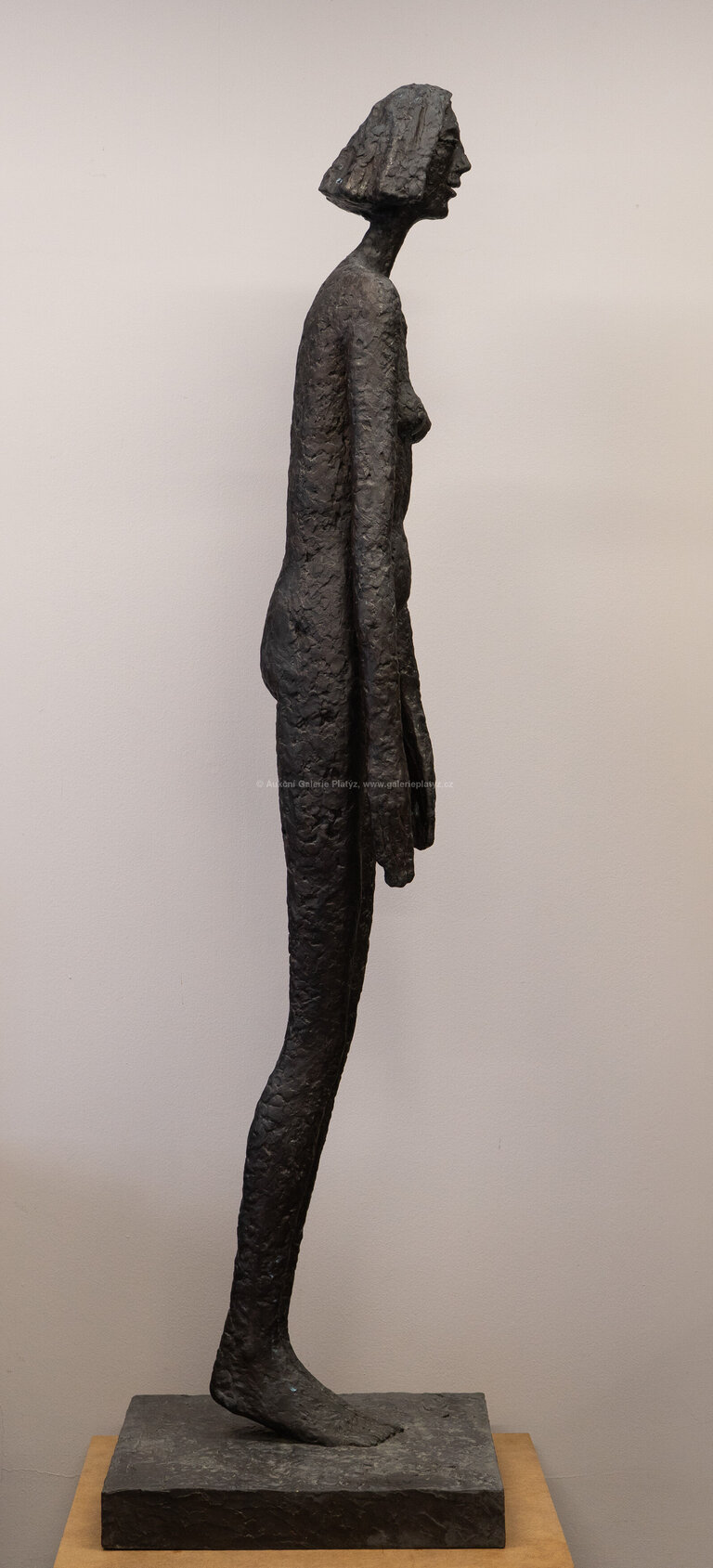  / Stále Eva / Olbram Zoubek