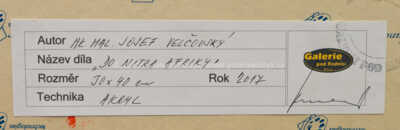  / Do nitra Afriky / Josef Velčovský