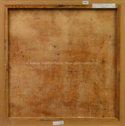  / Bílý / Liliana Maftei