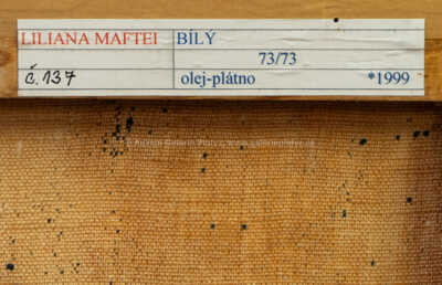  / Bílý / Liliana Maftei