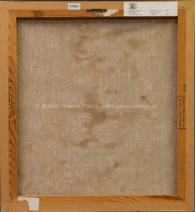  / Zkamenělý les / Liliana Maftei