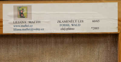  / Zkamenělý les / Liliana Maftei