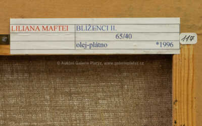  / Blíženci II / Liliana Maftei