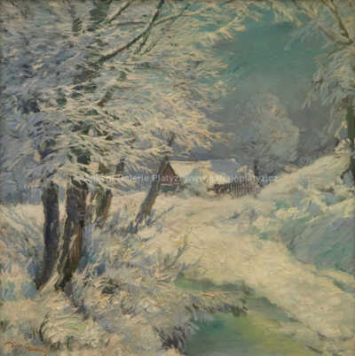  / Zima u potoka / Josef  Svoboda