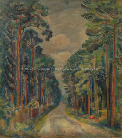  / Cesta v lese / Jaroslav Grus