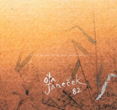  / Ptáček / Ota Janeček