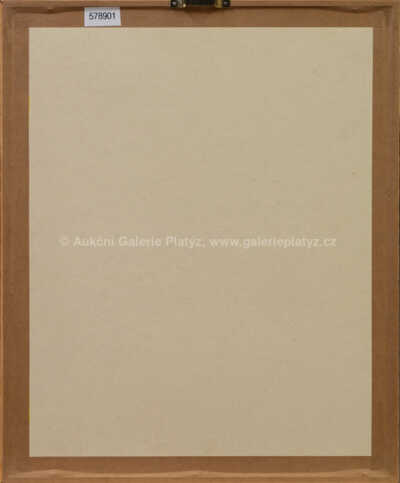  / Ptáček / Ota Janeček