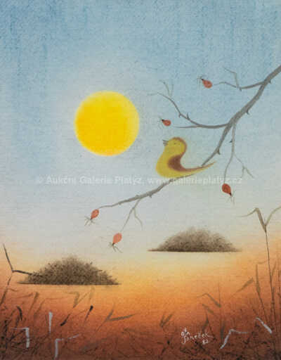  / Ptáček / Ota Janeček