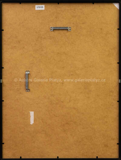  / Vetešník / Iva Hüttnerová