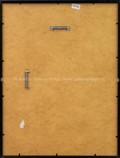  / Večerní koupel / Iva Hüttnerová