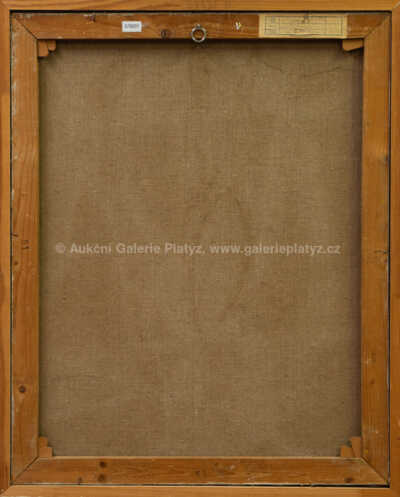  / Vzplanutí / Vladimír Vašíček