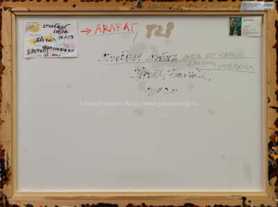  / Stvoření světa aneb Co zbylo z archy Noemovy / František Blažíček