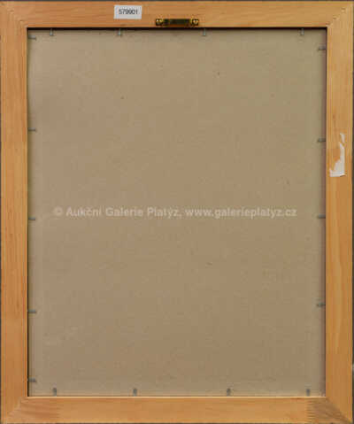  / Rychlé šípy ve Stínadlech / Marko Čermák