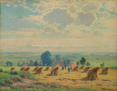  / Snopy / František Daněk - Sedláček