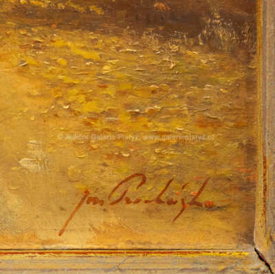  / Cesta do Barchovic / Josef Procházka