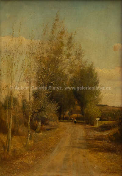  / Cesta do Barchovic / Josef Procházka