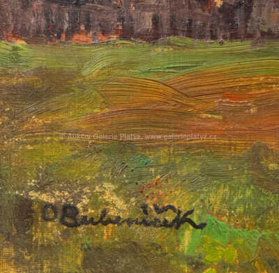  / Jihočeská krajina / Ota Bubeníček