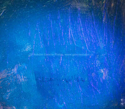  / Na vyhlídce / Gustav Macoun