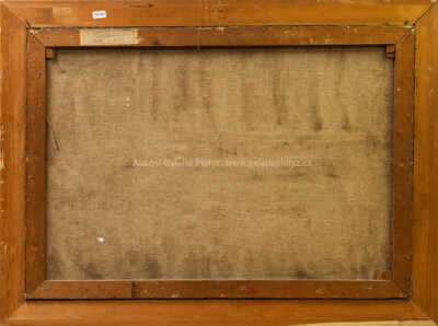  / V zahradě Hotelu Pupp / Ferdinand Kotvald