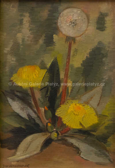  / Pampelišky / Julie Mezerová-Winterová