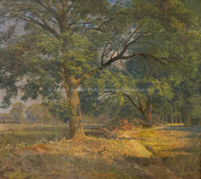  / V zámeckém parku / Josef Písecký (Liška)