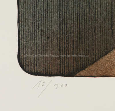  / Imaginární portrét E. A. Poea / Adolf Born