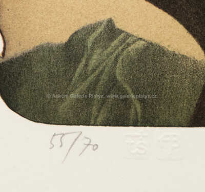  / Večer v Provence / Adolf Born