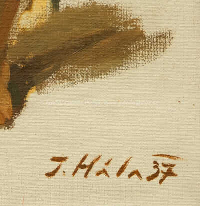  / Děvče se džbánem / Ján Hála