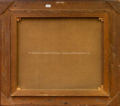  / Lokomotivy / Jaroslav Ronek