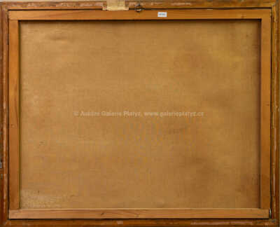  / Odpočinek / Gejza Salay