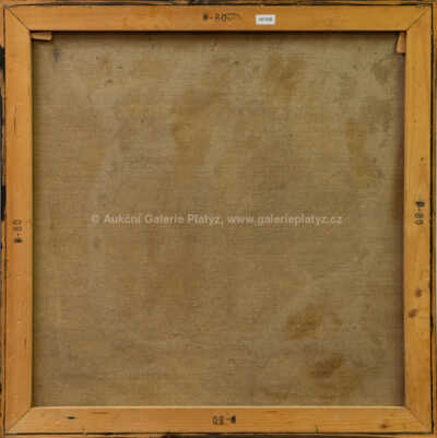  / Bez názvu / Kamila Ženatá