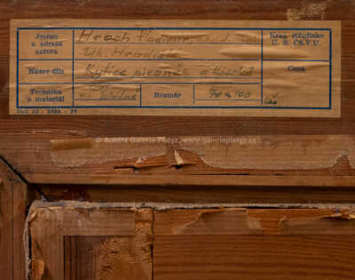  / Kytice pivoněk a kosatců / Vladimír Hroch