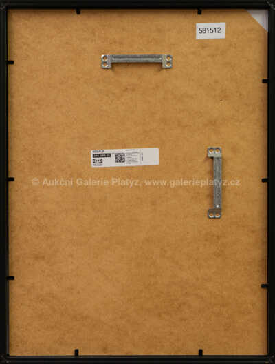  / Vystoupení / Adolf Born