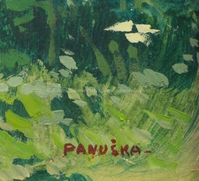  / Rozkvetlé keře / Jaroslav Panuška