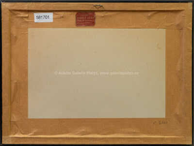  / Rozkvetlé keře / Jaroslav Panuška