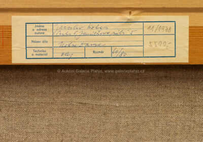  / Notre Dame / Jaroslav Kotas