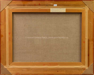  / Notre Dame / Jaroslav Kotas