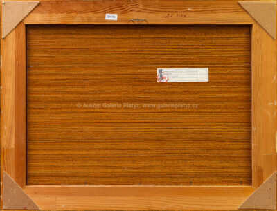  / Luční strouha / Bedřich Horálek