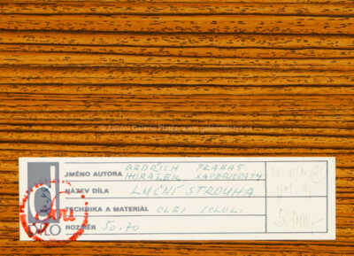  / Luční strouha / Bedřich Horálek