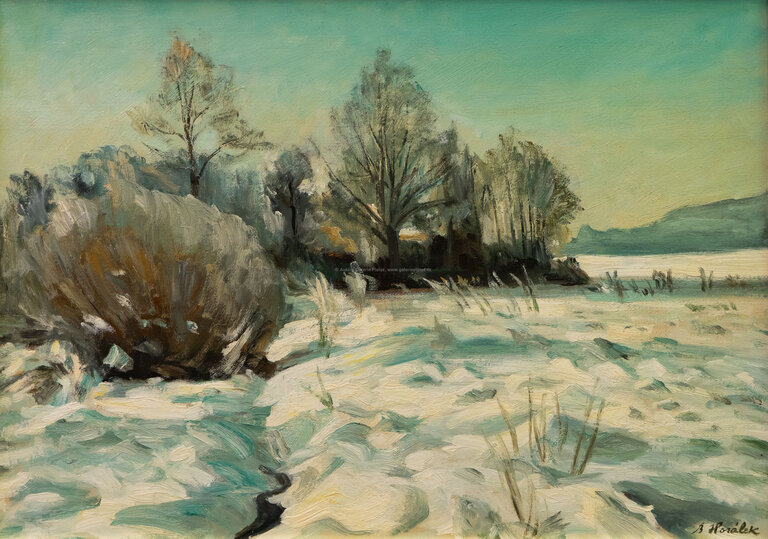  / Luční strouha / Bedřich Horálek