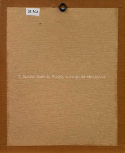  / Houslista / Vladimír Renčín