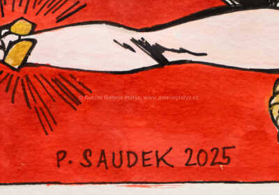  / Muriel - poštovní známka / Patrik Saudek