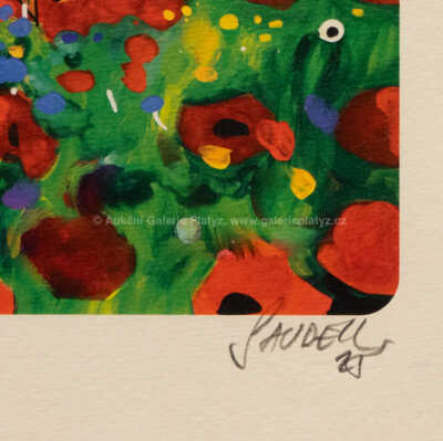  / Makové pole / Patrik Saudek